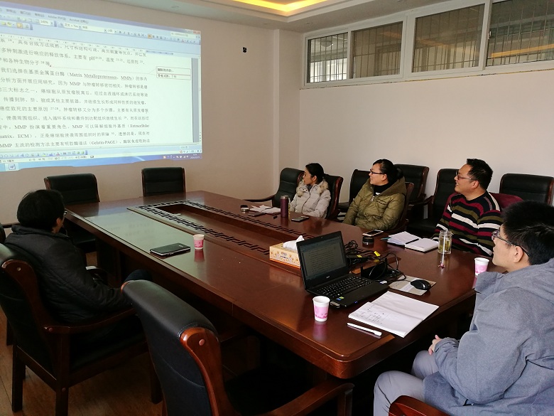 crown皇冠体育平台