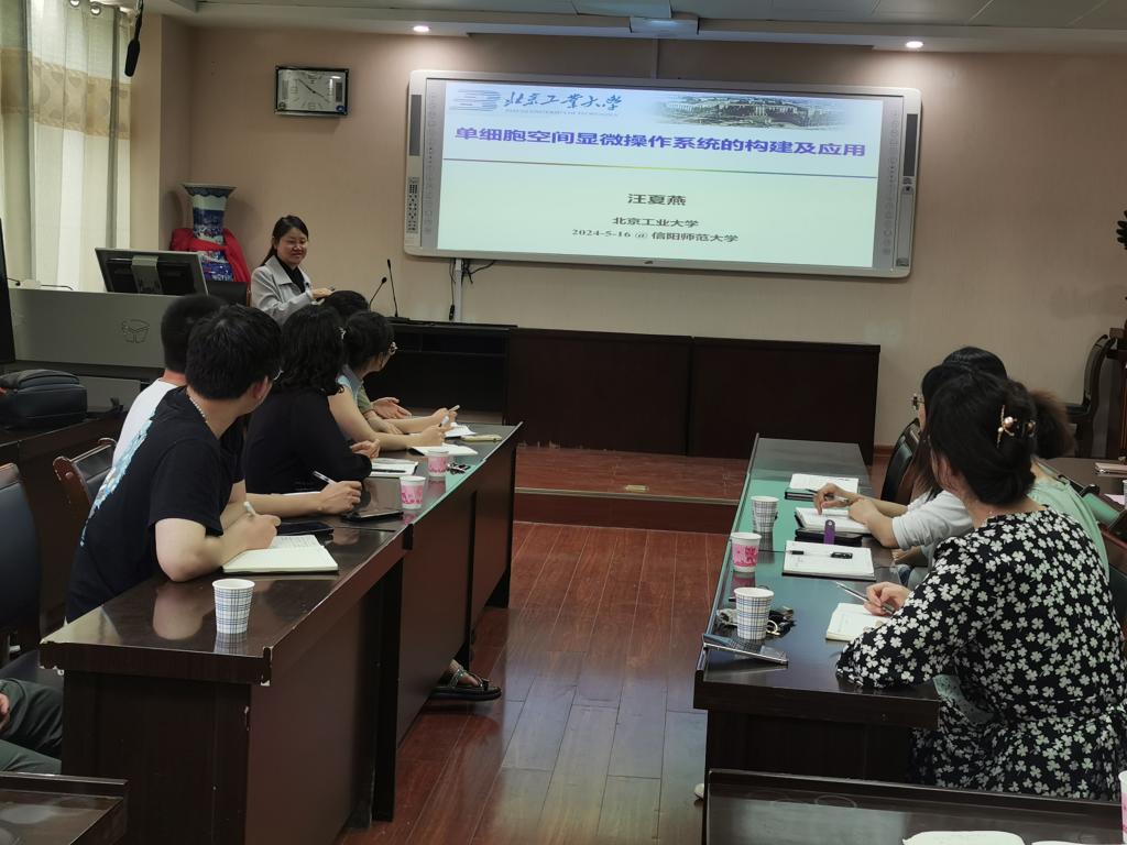 crown皇冠体育平台